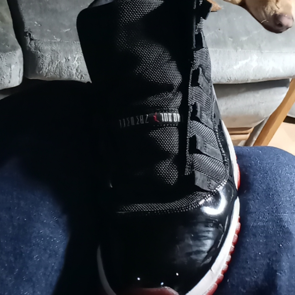 Jordan 11's - Picture 2 of 2